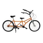 Buddy Bike Family Classic 7 Speed