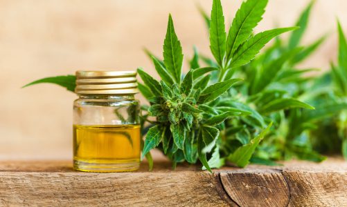 Ultimate Guide to Making Cannabis Oil